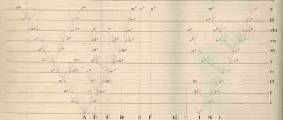 But why time is such an important element for evolution? - Is Genesis History?
