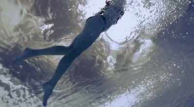 But why would any shark go rogue - Shark Attack Files