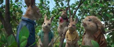 But we will succeed, - Peter Rabbit