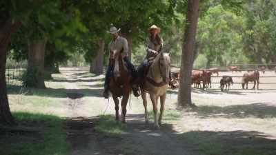 But with all the responsibility
at the ranch, I just... - A Cowboy Christmas Romance