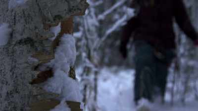 But with limited experience
navigating the thin ice and - Life Below Zero: Next Generation
