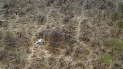 'But with his limited resources, - A Year on Planet Earth