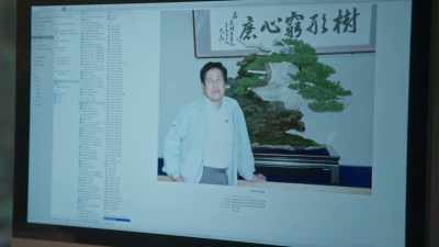 But with Mr. Kimura,
it mattered to me - Trees and Other Entanglements