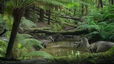 But with the adults
still feasting around him, - Prehistoric Planet