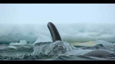 But without much sea ice, - Our Oceans