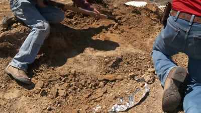 BUT WITHOUT THAT,
IT'S JUST A HEADLESS DINOSAUR. - Dino Hunters
