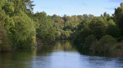 But you would be surprised that
you've got these massive logs here - World's Most Scenic River Journeys