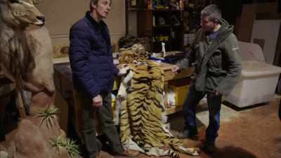 'But that wouldn't deter Andrew.' - Britain's Tiger Kings - On the Trail with Ross Kemp