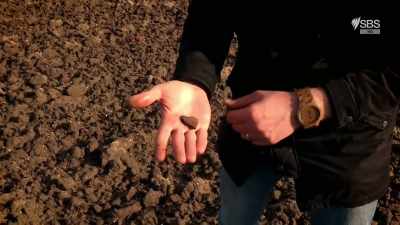 But for years, they've been dismissed - Curse of the Ancients with Alice Roberts