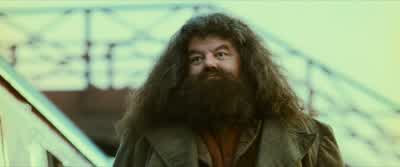 But yes, he will die. - Harry Potter and the Philosopher's Stone