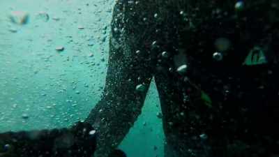 But if you can go down
underwater and connect - Photographer
