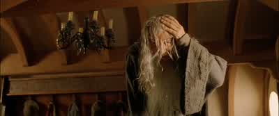 But you come and go as you please. - The Lord of the Rings: The Fellowship of the Ring