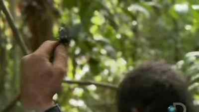 BUT, YOU KNOW,
FOR RAW MEAT, NOT BAD. - Man vs. Wild