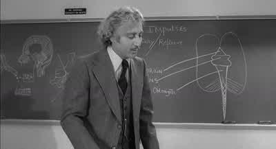 But you must remember that a wormWith very few exceptionsIs not a human being - Young Frankenstein