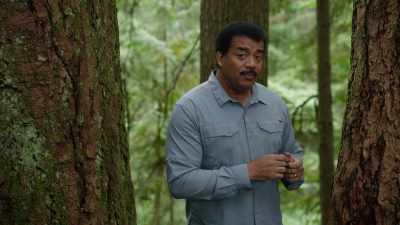 But young trees don't
know that if they
grow up too quickly, - Cosmos: Possible Worlds