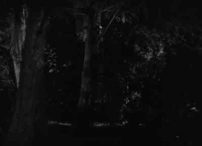But you're horribly, miserably unhappy. - Werewolf of London