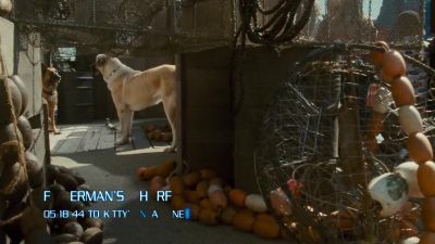 BUTCH Diggs You've ruined everything - Cats &amp; Dogs: The Revenge of Kitty Galore