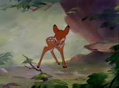 Butterfly. - Bambi