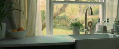 [BUZZING AND BANGING ON WINDOW] - The Wasp