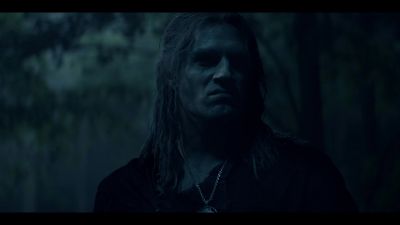 [buzzing intensifies] - The Witcher