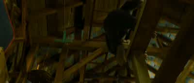 By age two, Caesar completing puzzles and models designed for children eight years and up. - Rise of the Planet of the Apes