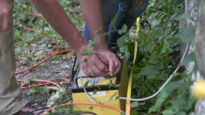By analysing how
the electrical pulses - Secrets of the Underground