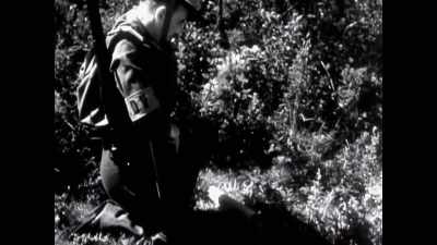 By August, 1940 they had over 2.5 million. - The Buildings That Fought Hitler