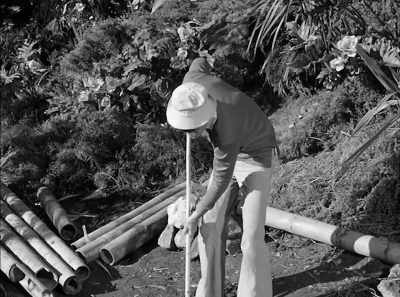 By calling the show Gilligan's Island, - The Gilligan Manifesto