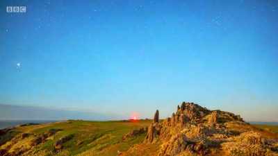 By dawn, they're all underground - Wales: Land of the Wild