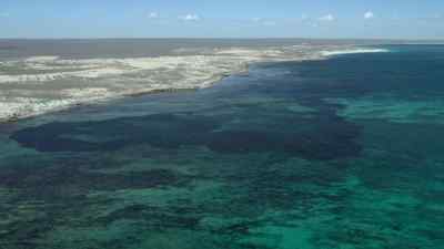 By day, the prehistoric ocean
provides opportunities - Prehistoric Planet