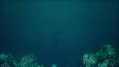 By dragging his rival down,
he could drown him. - Prehistoric Planet