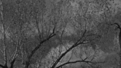 Byłem na spacerze w buszu, - Joan Baez: I Am a Noise
