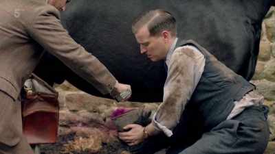 By God, Mr Farnon! - All Creatures Great & Small