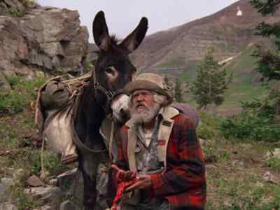 By golly, - Mountain Family Robinson