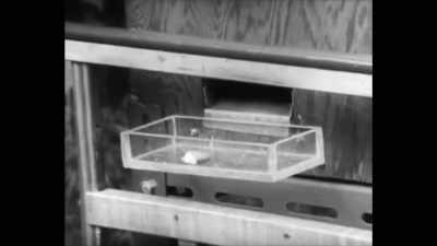 By keeping a child
confined to this space, - Can't Feel Nothing