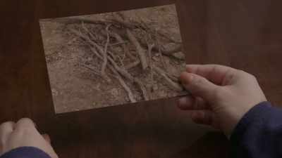 BY LOOKING AT IT, VERY... - Evil Lives Here: Shadows Of Death