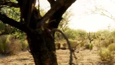 By mid-morning,
it will be 40 degrees Celsius. - Seven Worlds, One Planet
