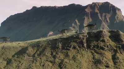 By nesting in this volcanic valley, - Prehistoric Planet