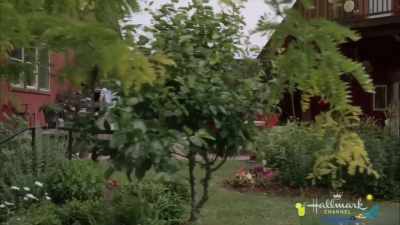 By reminding him that
whoever lives here - Summer in the Vineyard