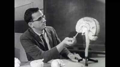 By sectioning this structure,
as can be seen in this half - The Divided Brain