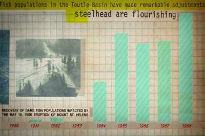 By seven years later,
they more than doubled. - Artifishal