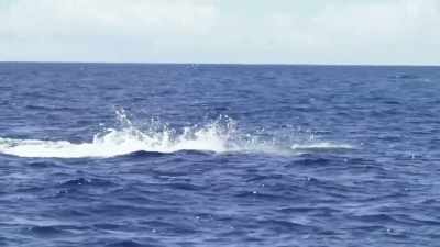 By the boat
these guys can be a nightmare, - Deadliest Catch: Bloodline