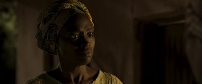 By the fruit shall we know the tree - The Boy Who Harnessed the Wind