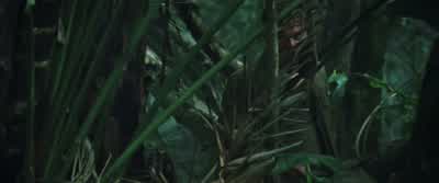 By the smell of your shit. - Blood Diamond