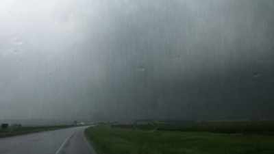 By the time I got there,
there was a torrential rain, - The Man Who Stole Einstein's Brain