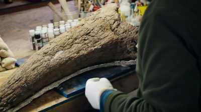 BY THE TIME I'M DONE, - Dino Hunters
