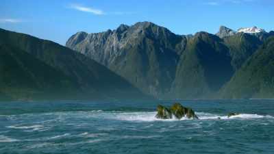 By the time New Zealand separated, - Modern Dinosaurs