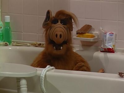 By the way don't bother looking for your laxative on a rope - ALF