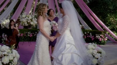 By these acts and according to the laws - Grey's Anatomy