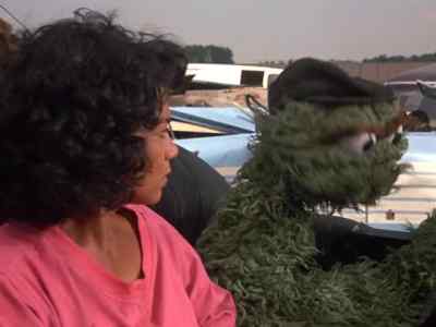 Bye-Bye, Sesame Street. - Follow That Bird